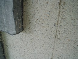 christchurch -2316.jpg
